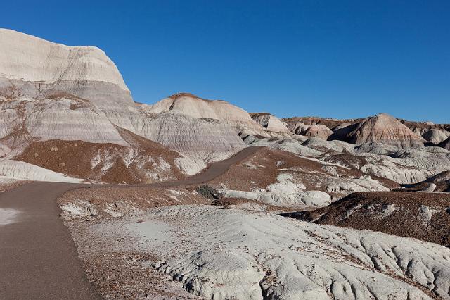 76 petrified forest, blue mesa.jpg